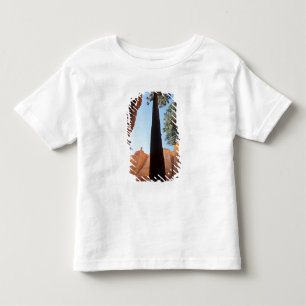 Camiseta EUA, Utah, Parque Nacional Bryce Canyon. Alto