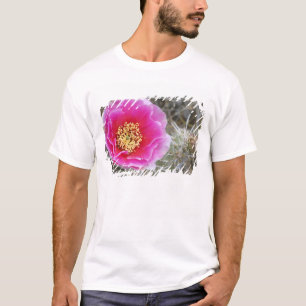 Camiseta EUA, Utah, Parque Nacional Canyonlands, Pera Espin