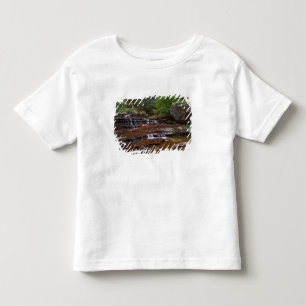 Camiseta EUA, Utah, Parque Nacional de Zion. Cênico a parti