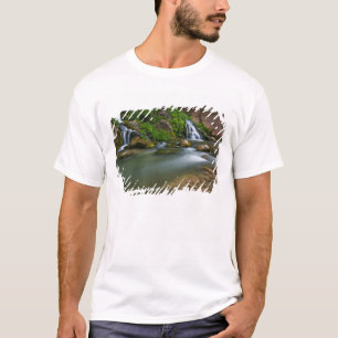 Camiseta EUA, Utah, Parque Nacional de Zion. O Virgin