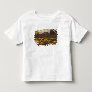 Camiseta EUA, Utah, Parque Nacional Monument Valley.