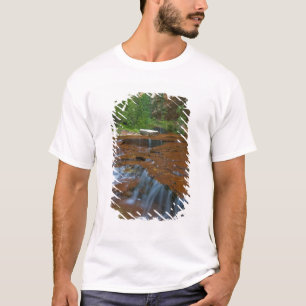 Camiseta EUA, Utah, Parque Nacional Zion. Cênico a partir d