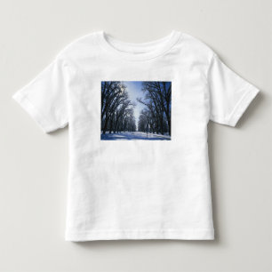 Camiseta EUA, Utah, Salt Lake City, Liberty Park,