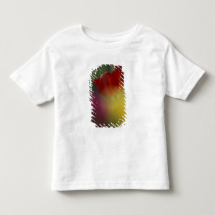 Camiseta EUA, Utah, Tulipas do Vale Cache em um jardim