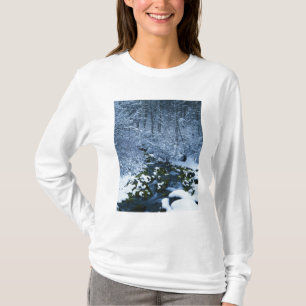 Camiseta EUA, Utah, Wasatch-Catch National Forest,