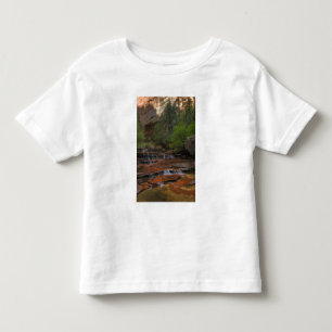 Camiseta EUA, Utah, Zion National Park.  Scenic do