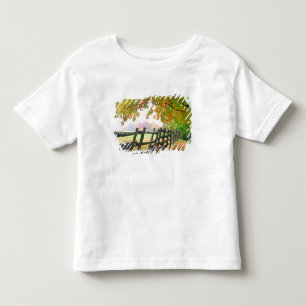 Camiseta EUA, Vermont. Cerca sob folhagem de outono.