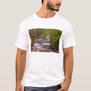 Camiseta EUA, Vermont, East Arlington, Correntes fluindo