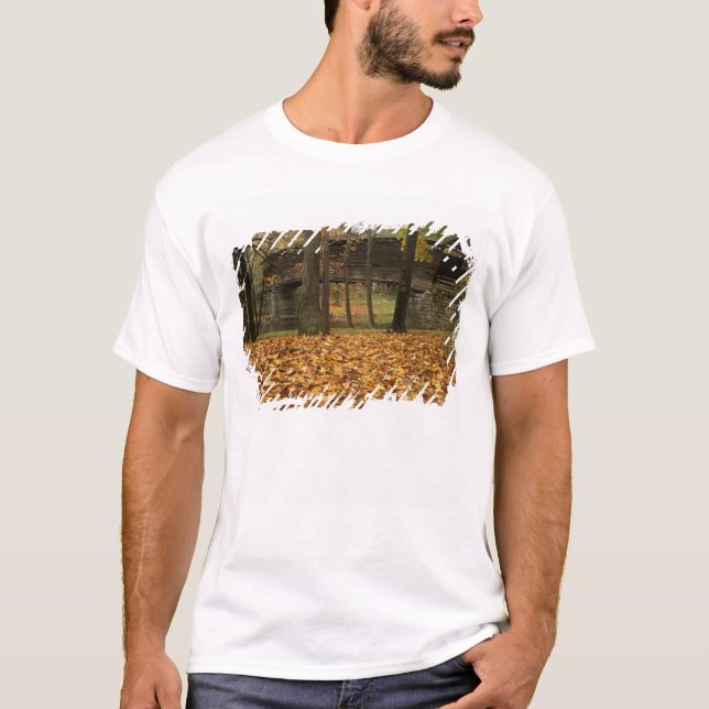 Camiseta EUA, Virgínia, Covington, Humpback Coberto (Frente)