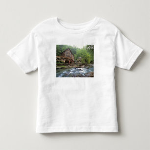 Camiseta EUA, Virgínia Ocidental, Babcock SP. Rustic Glade