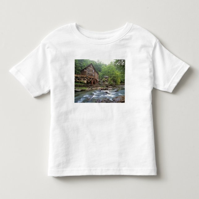 Camiseta EUA, Virgínia Ocidental, Babcock SP. Rustic Glade (Frente)