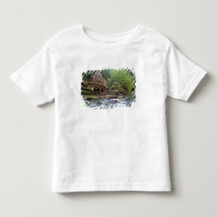 Camiseta EUA, Virgínia Ocidental, Babcock SP. Rustic Glade