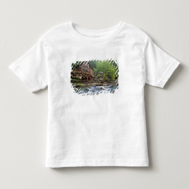 Camiseta EUA, Virgínia Ocidental, Babcock SP. Rustic Glade (Frente)