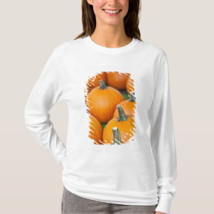 Camiseta EUA, Virgínia Ocidental, Charleston. Capitol 2