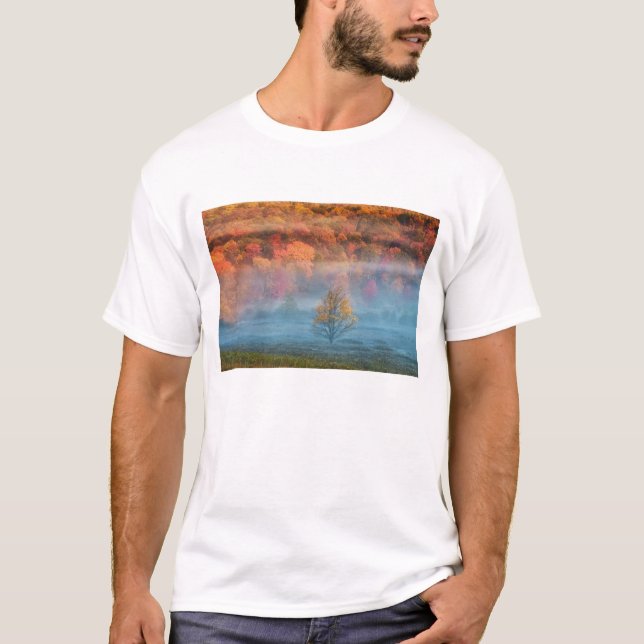 Camiseta EUA, Virgínia Ocidental, Davis. Vale enevoado e (Frente)