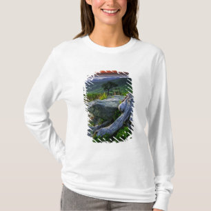 Camiseta EUA, Virgínia, Parque Nacional Shenandoah.