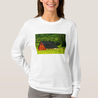 Camiseta EUA, Virgínia, Parque Nacional Shenandoah, 2