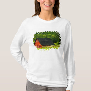 Camiseta EUA, Virgínia, Parque Nacional Shenandoah, 2