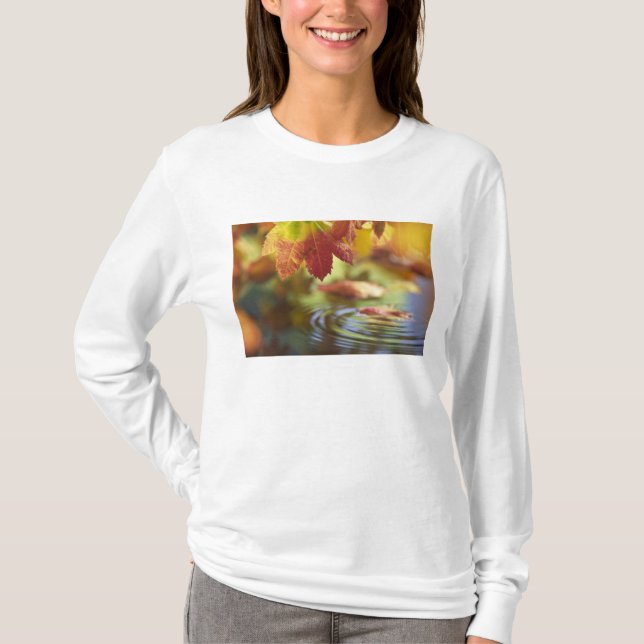 Camiseta EUA, Washington, Bellingham, Close-up do outono (Frente)