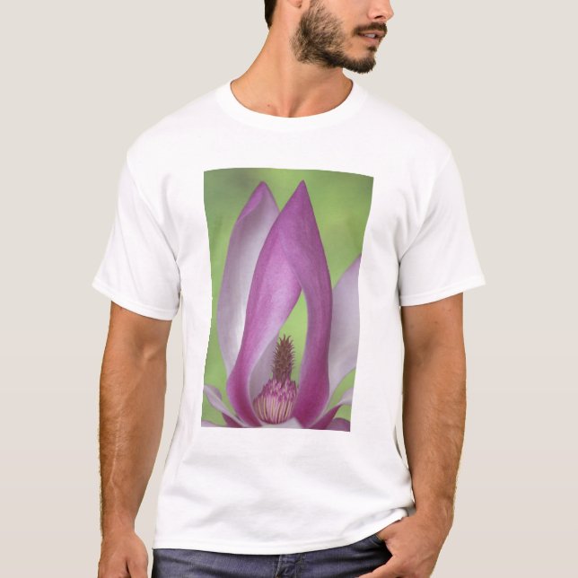 Camiseta EUA, Washington. Close-up da flor de magnólia. (Frente)