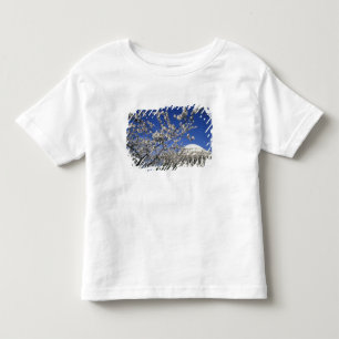 Camiseta EUA, Washington DC. Festival das Cerejeiras e 2