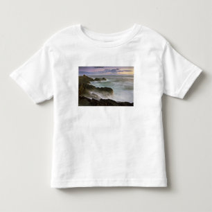 Camiseta EUA, Washington, Ilhas San Juan. Ondas batem