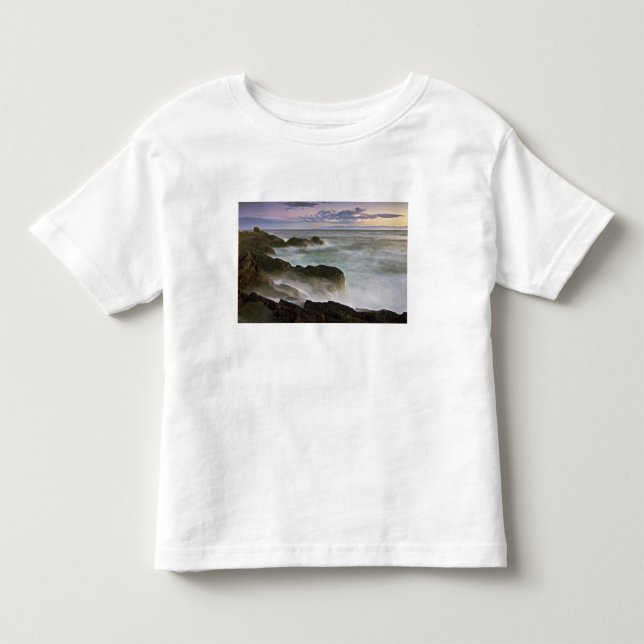 Camiseta EUA, Washington, Ilhas San Juan. Ondas batem (Frente)