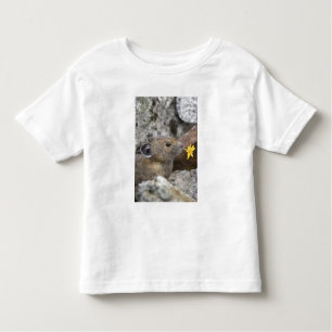 Camiseta EUA, Washington, North Cascades National Park,