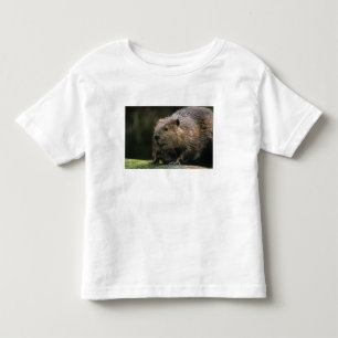 Camiseta EUA, Washington, Northwest Trek. Castor