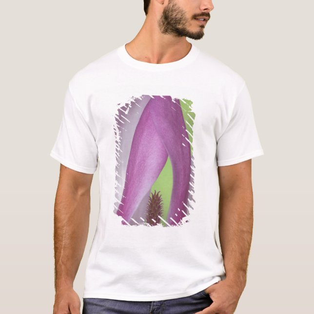 Camiseta EUA, Washington. O encerramento da magnólia flores (Frente)