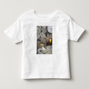 Camiseta EUA, Washington, Parque Nacional North Cascades,