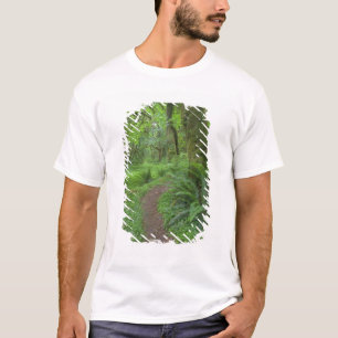 Camiseta EUA, Washington, Parque Nacional Olimpiadas,