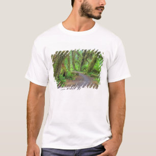 Camiseta EUA, Washington, Parque Nacional Olimpiadas, Hoh 2