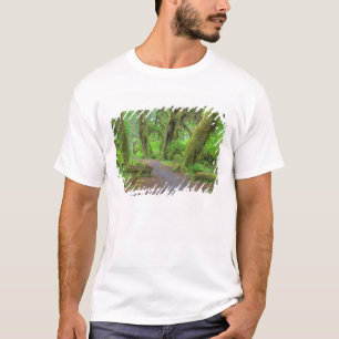 Camiseta EUA, Washington, Parque Nacional Olímpico, Chuva d