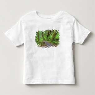 Camiseta EUA, Washington, Parque Nacional Olímpico, Chuva d