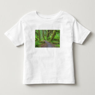 Camiseta EUA, Washington, Parque Nacional Olímpico, Chuva d