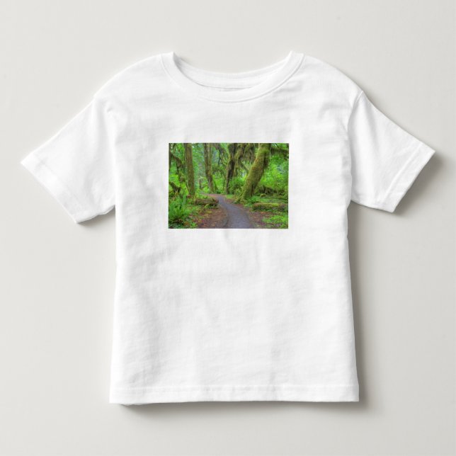 Camiseta EUA, Washington, Parque Nacional Olímpico, Chuva d (Frente)