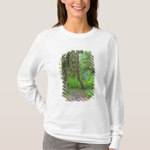 Camiseta EUA, Washington, Parque Nacional Olímpico, Hoh