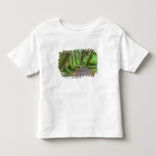 Camiseta EUA, Washington, Parque Nacional Olímpico, Hoh 2