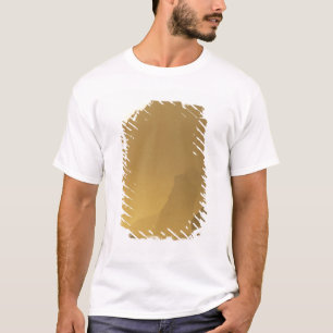 Camiseta EUA, Washington, Parque Nacional Olímpico, Pôr do