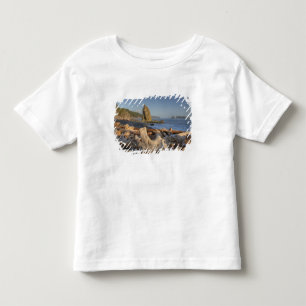 Camiseta EUA, Washington, Parque Nacional Olímpico, Rialto