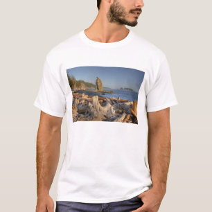 Camiseta EUA, Washington, Parque Nacional Olímpico, Rialto