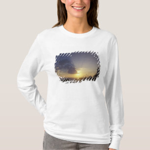 Camiseta EUA, Washington, perto de Port Townsend. Ponto