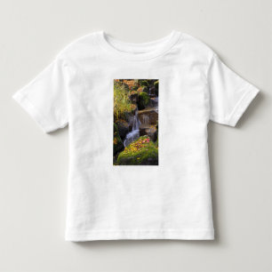 Camiseta EUA, Washington, Seattle
