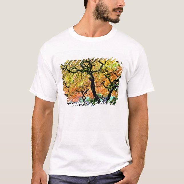 Camiseta EUA, Washington, Seattle, Jardim Kubota. (Frente)
