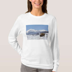 Camiseta EUA, WY, Parque Nacional de Yellowstone, Bisonte A