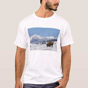 Camiseta EUA, WY, Parque Nacional Yellowstone, Bisonte Amer
