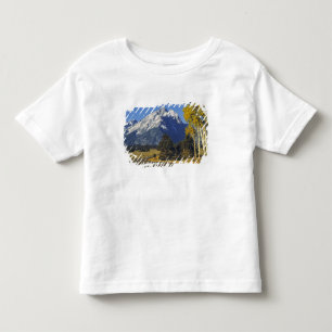 Camiseta EUA, Wyoming, Grand Teton NP. Teton Parkway