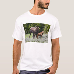 Camiseta EUA, Wyoming, Montanhas Bighorn, alce Alces