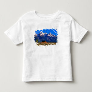 Camiseta EUA, Wyoming, Parque Nacional Grand Teton, Manhã